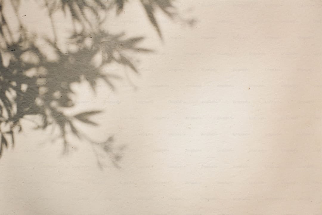 李子柒螺蛳粉袋装
